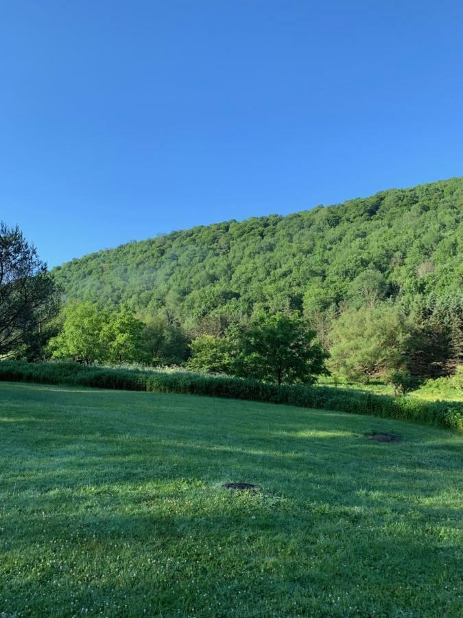 אליקוטוויל The Maples Apt - King Bed, Pet Friendly, Beautiful Views מראה חיצוני תמונה